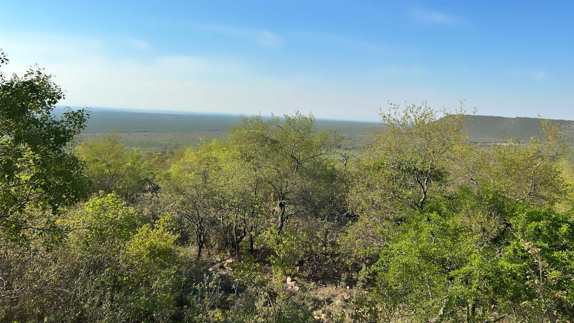 Sabella Bushveld Lodge in Marble Hall, Limpopo